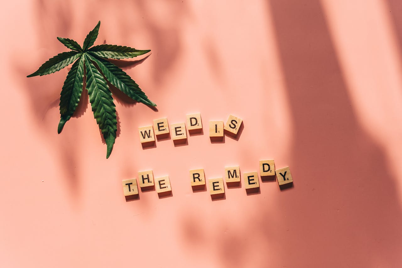 Unlocking Natural Relief: The Rising Role of CBD in Modern Healthcare