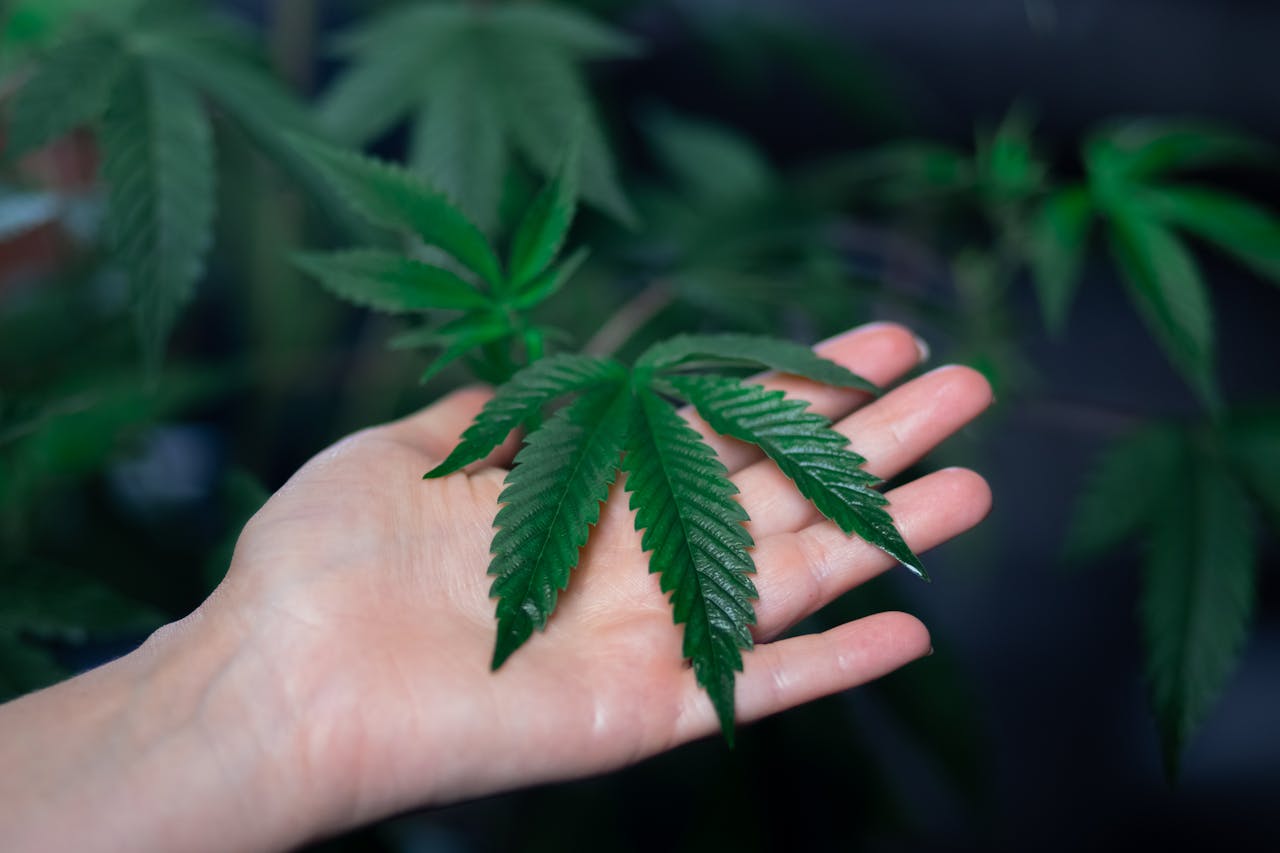 Blunt Force Impact: How the Loud Community Is Quietly Changing the World